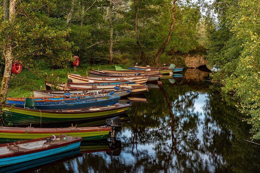 Old wooden boats in Killarney National Park-Ireland art print by Chuck Haney for $57.95 CAD